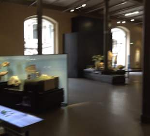 Museum der Naturkunde