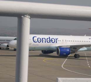 Unser Flieger auf dem Rückflug