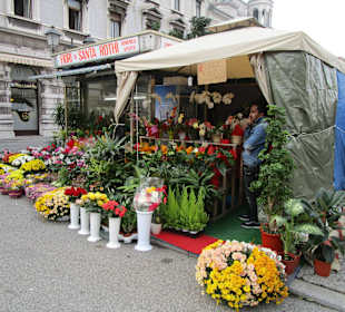 Markt auf der Piazza Sant'Antonio Nuovo