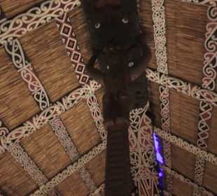 Museum für Völkerkunde