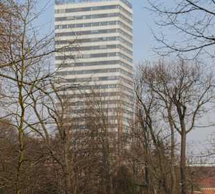 Der Oderturm vom Gertraudenpark