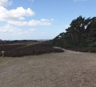 Fischbecker Heide Wanderwe 6