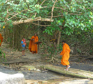Mönche beim Spaziergang im Nationalpark