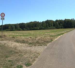 Wandertour Greifensteinrunde