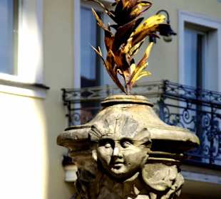 Um das Portal herum