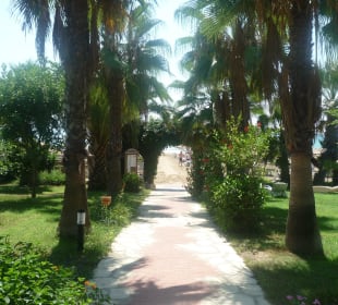 Der Weg vom Garten zum Strand