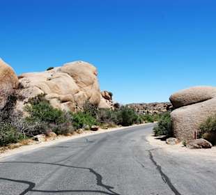 Joshua Tree Nationalpark