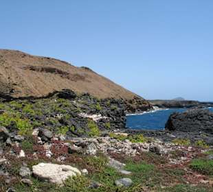 Amarilla Bucht