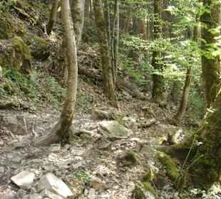 Trittsicherheit ist schon erforderlich