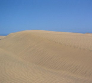Dünen in Maspalomas bei Meloneras