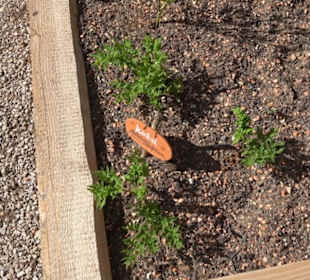 Arzneipflanzengarten Klosterreichenbach