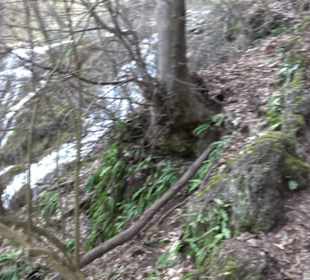 Wasserfallsteig