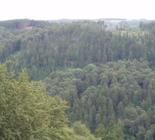 Ausblick vom Absprungtisch