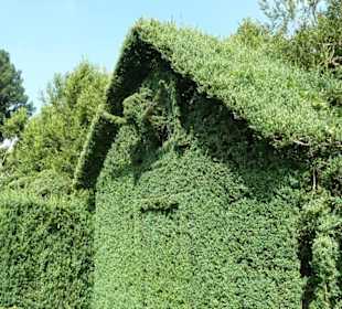 Wunderschön geschnittene Figuren im Garten.