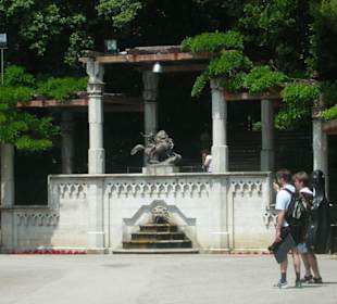 Particolare del pergolato