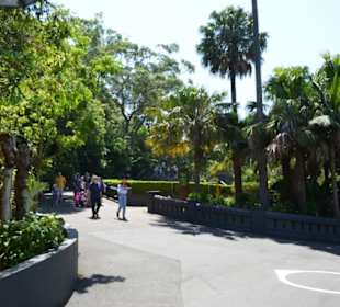 Taronga Zoo