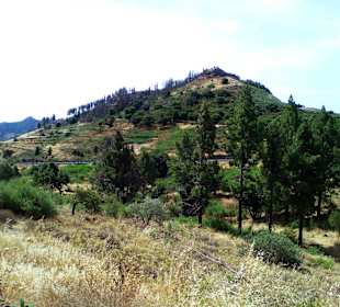 Ausblick vom Cruz de Tejeda 