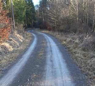 Wanderung rund um den Ochsenweiher