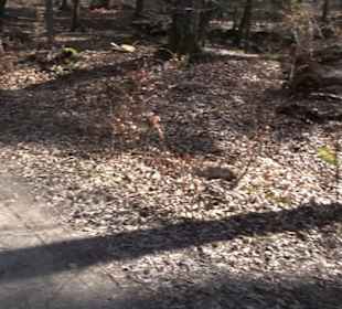 Historischer Rundwanderweg Aichtal