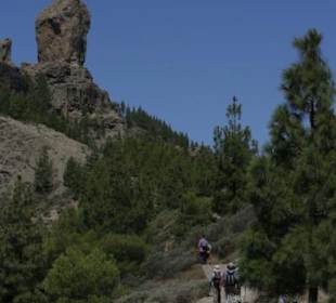 Subida al Roque Nublo