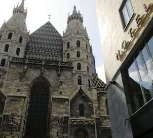 Außenansicht Hotel & Stephansdom