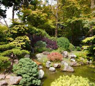 SF Japanese Tea Garden