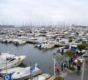 Hafen Alcudia (ca. 2km entfernt)