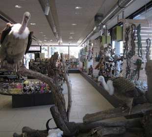 Der Shop