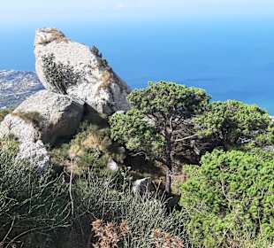 Stadtrundgang Forio Ischia [Ischia]