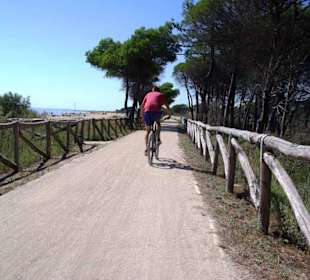 Vom Leuchtturm aus, viele unterwegs