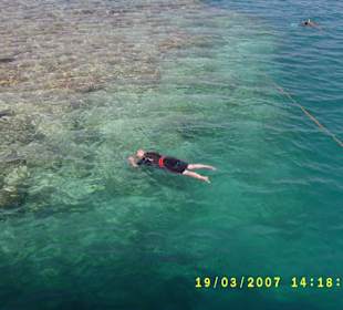 Herrliche Unterwasserwelt