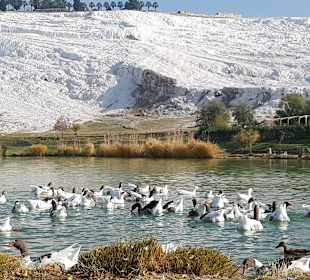 Kalksinterterrassen von Pamukkale