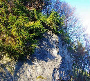 Kletterparadies in Kirchenbirkig