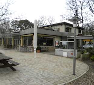 Restaurant Cafe Am Springhorstsee