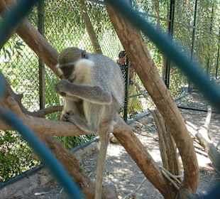 Tierpark Manavgat