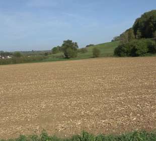 Wanderung zur Burgruine Liebenau