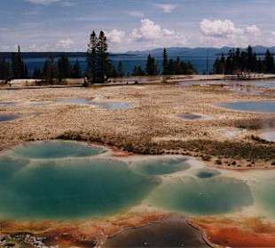 West Thumb Geyser Basin