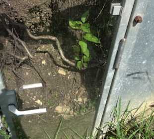 Hochgehnießen - Premiumspazierwanderweg