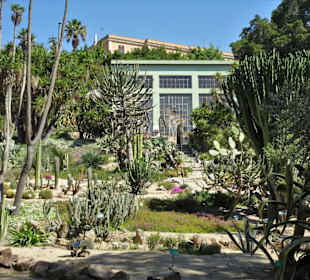 Rundgang durch den Botanischen Garten Cagliari
