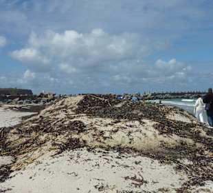 Ausflug Büsum Helgoland