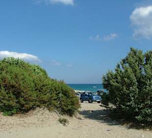 Der Weg zum Traumsandstrand