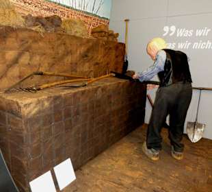 Entdeckung eines alten Moorweges