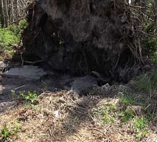 Wandergebiet Ruhestein