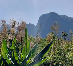 Rundfahrt Krabi