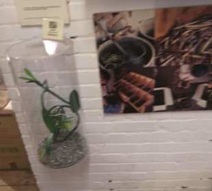 Spicy's Gewürzmuseum