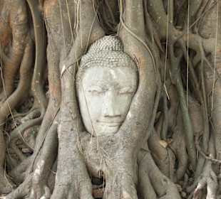 Historisches Ayutthaya