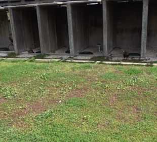 Malta Falconry Centre