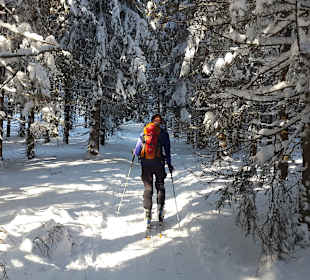 Wandern Neukirchen am Großvenediger
