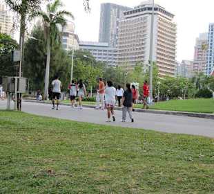 Abendsport am Sonntag