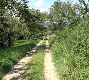 Hochgehnießen - Premiumspazierwanderweg